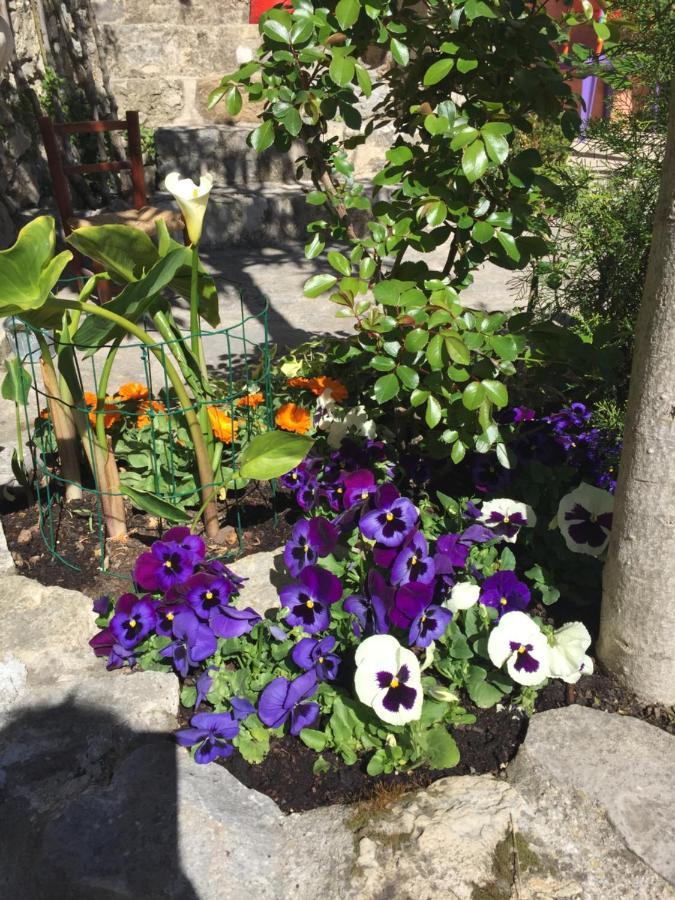 La Cle Des Songes Bed & Breakfast Claviers Luaran gambar